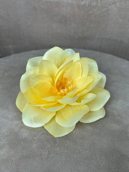 Dalia