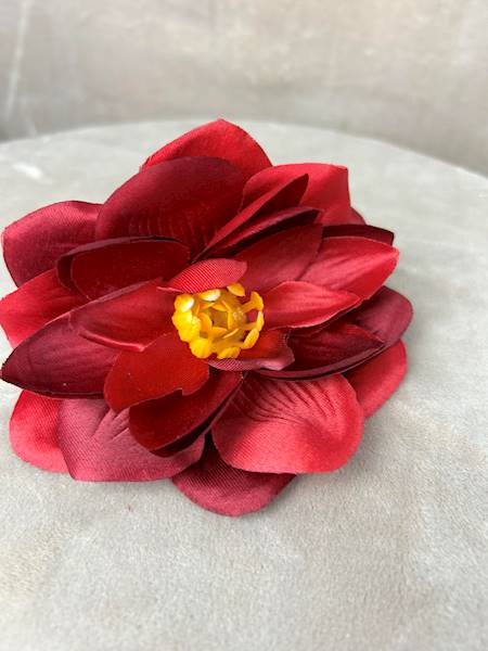 Dalia