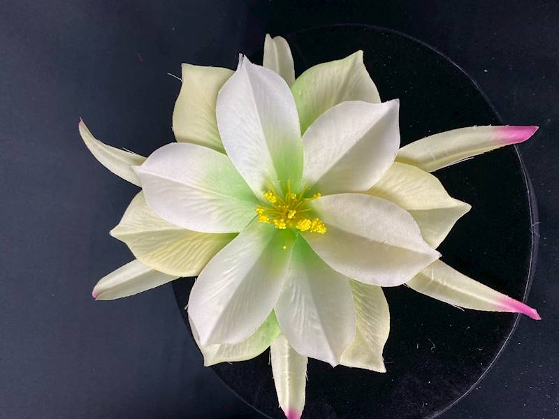 Dalia