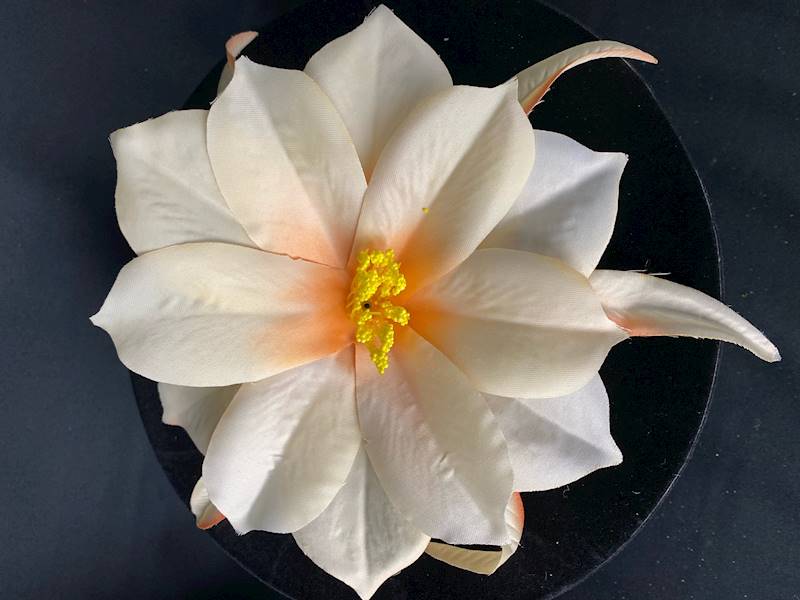 Dalia