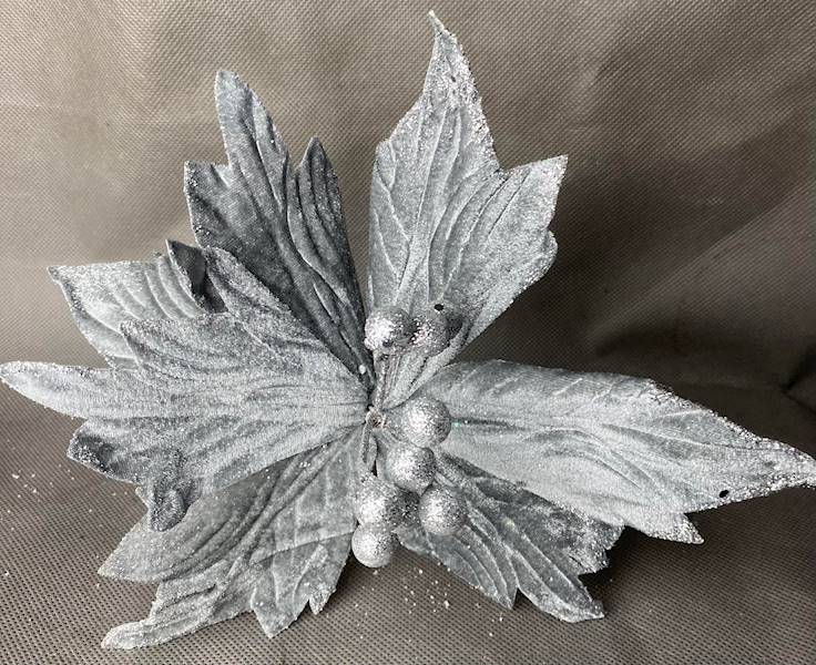 Poinsencja 