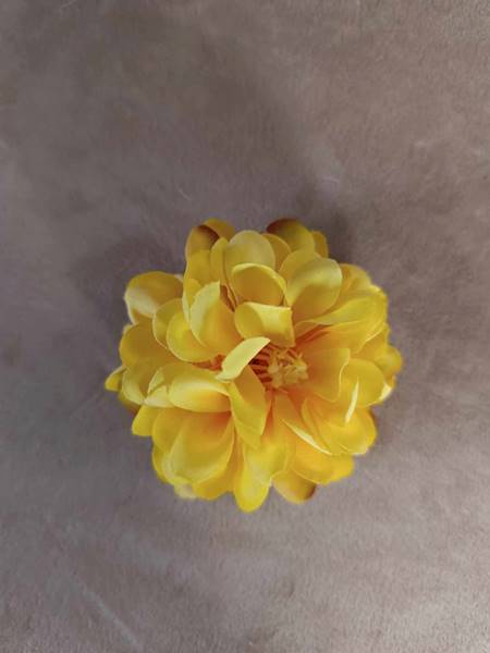 Dalia