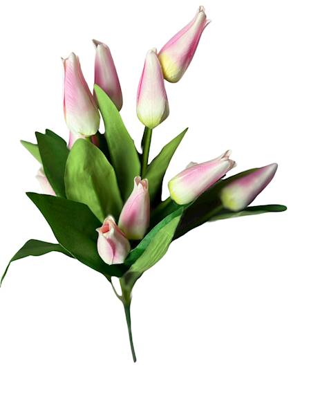 Bukiet tulipana x 14