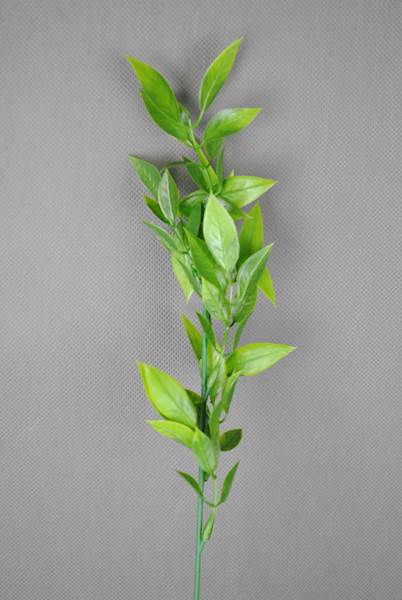 Ruskus