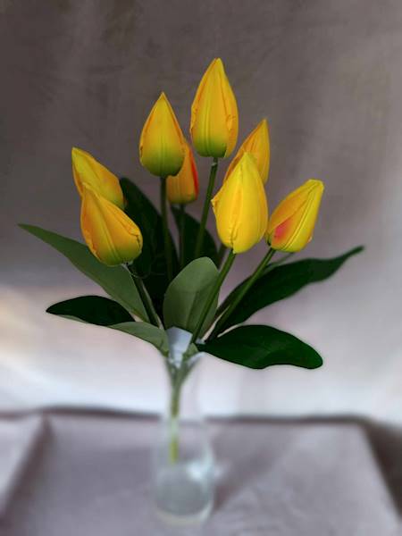 Bukiet tulipana