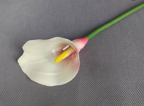 Calla