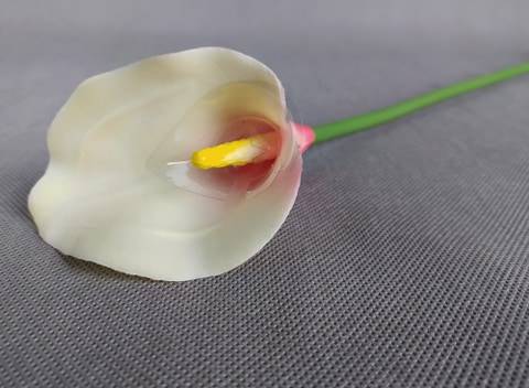 Calla