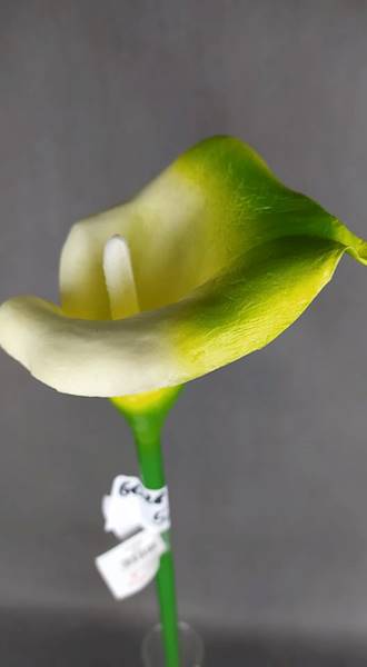 Calla