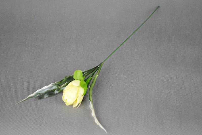 Protea