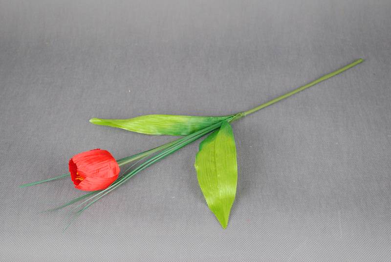 Gałązka tulipana