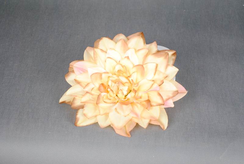 Dalia
