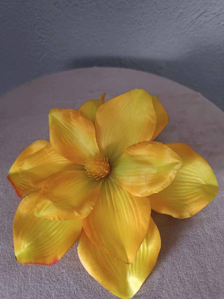 Magnolia