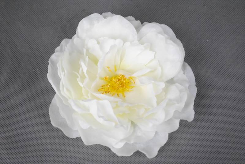 Peonia