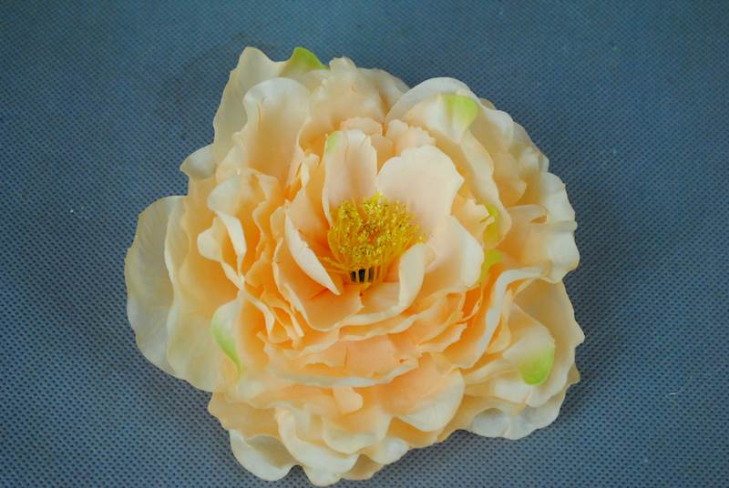 Peonia