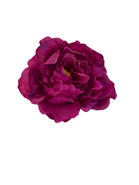 Peonia