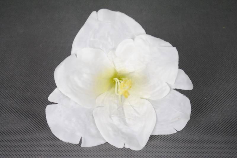 Hibiskus