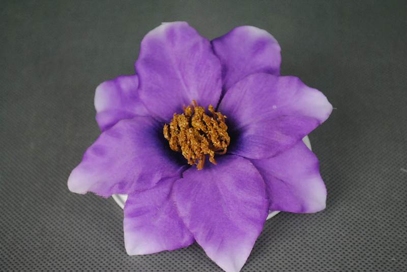 Klematis