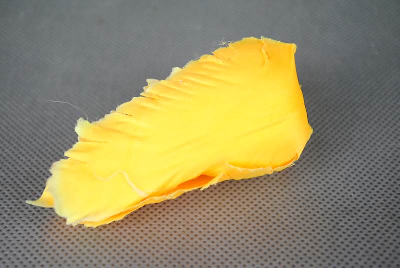Tulipan
