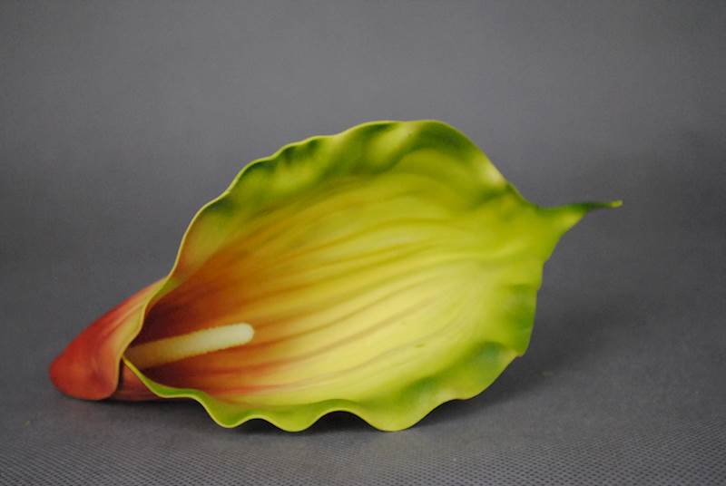 Calla