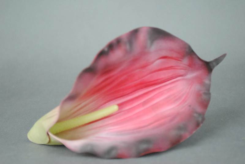 Calla