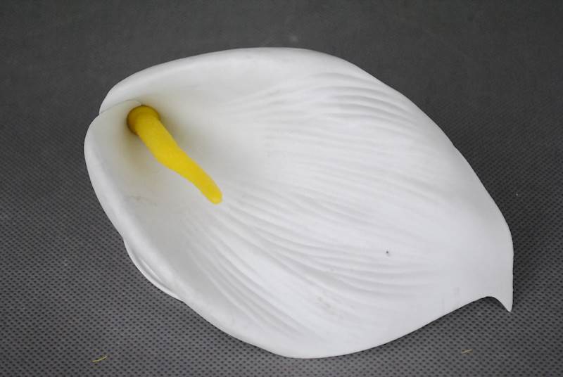 Calla