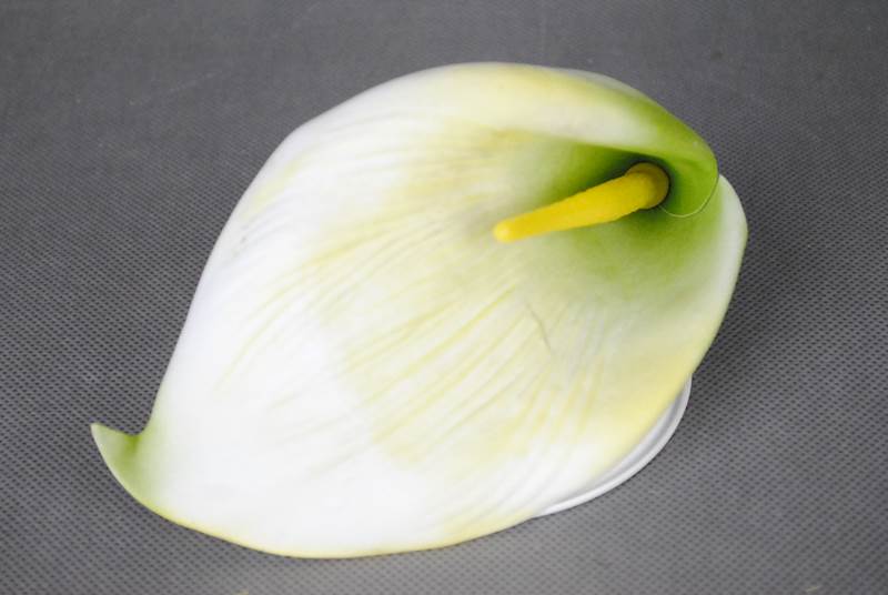 Calla