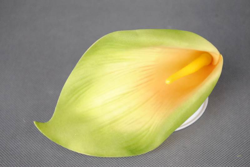 Calla