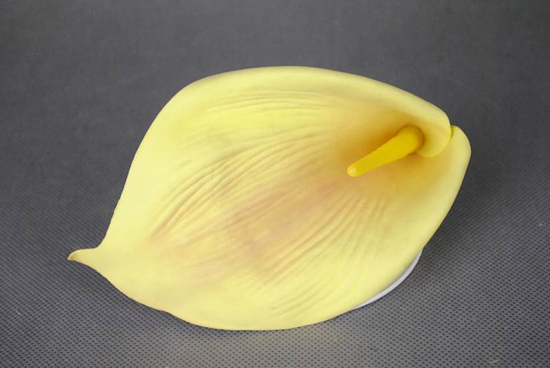Calla