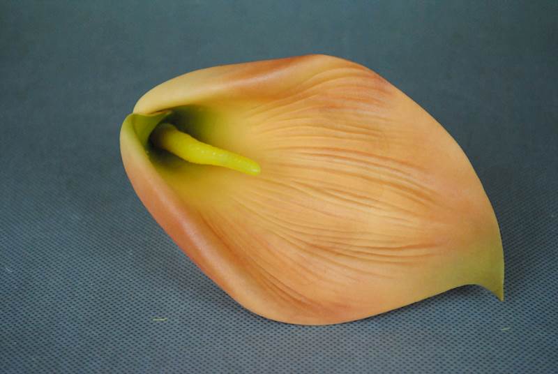 Calla