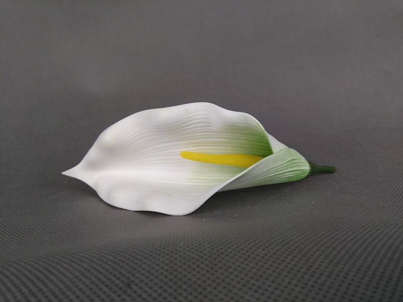Calla
