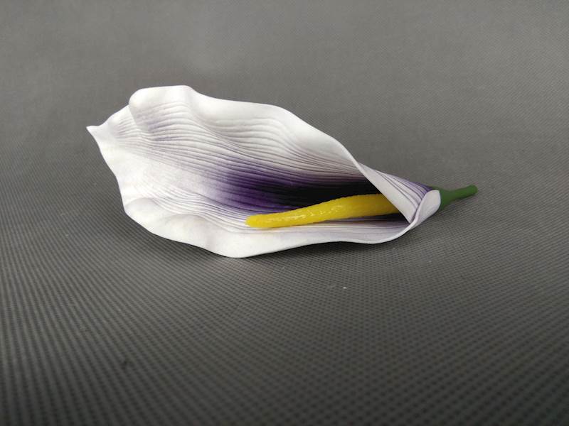 Calla