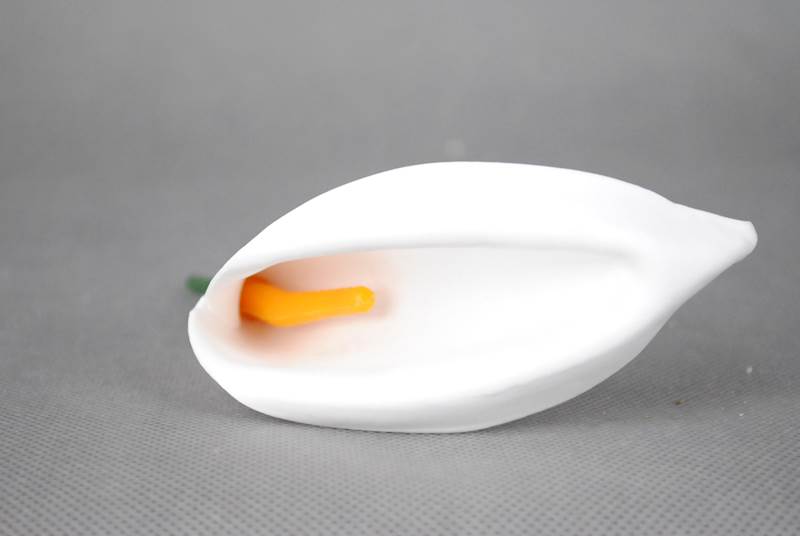 Calla