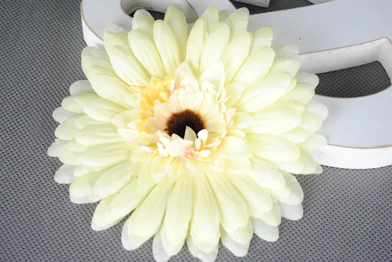 Gerbera