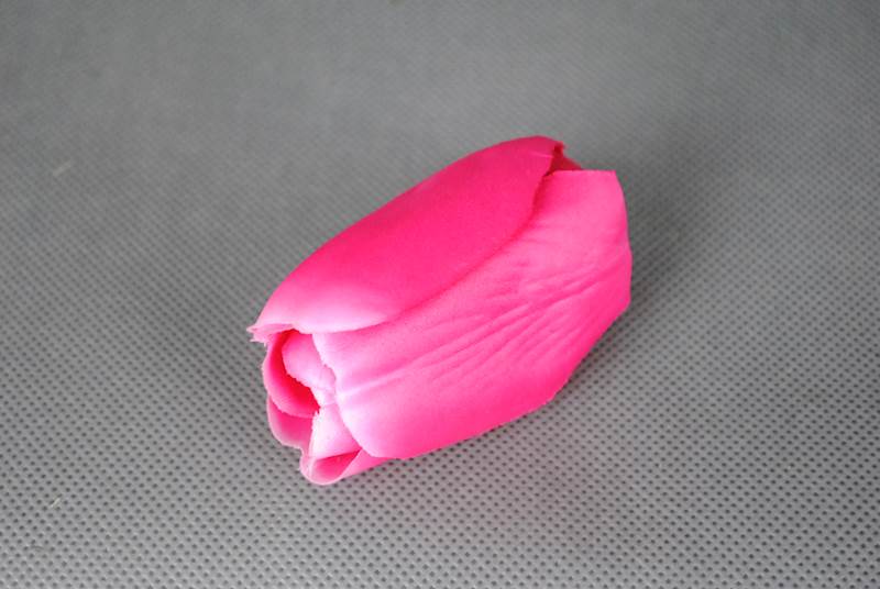 Tulipan