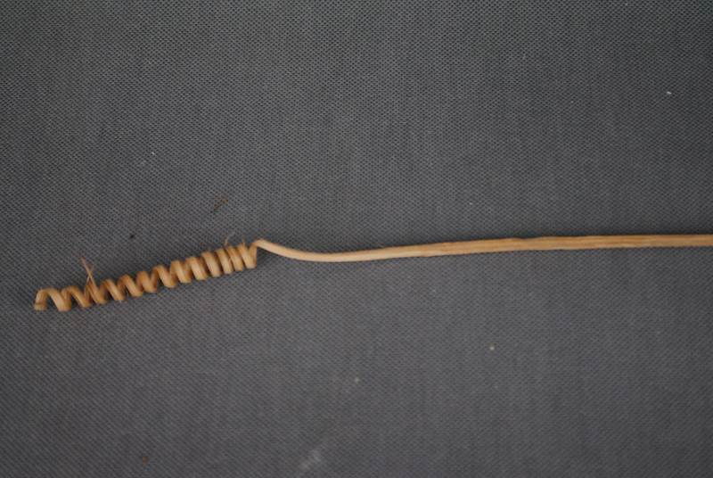 Cane spring