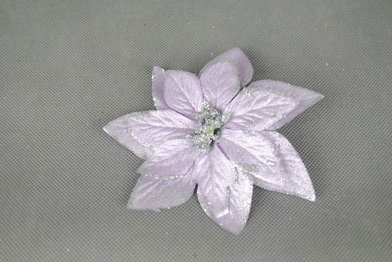Poinsencja