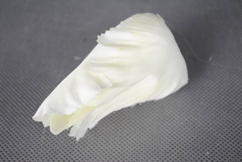 Tulipan