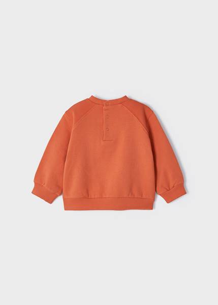 Bluza z misiem                2430-39