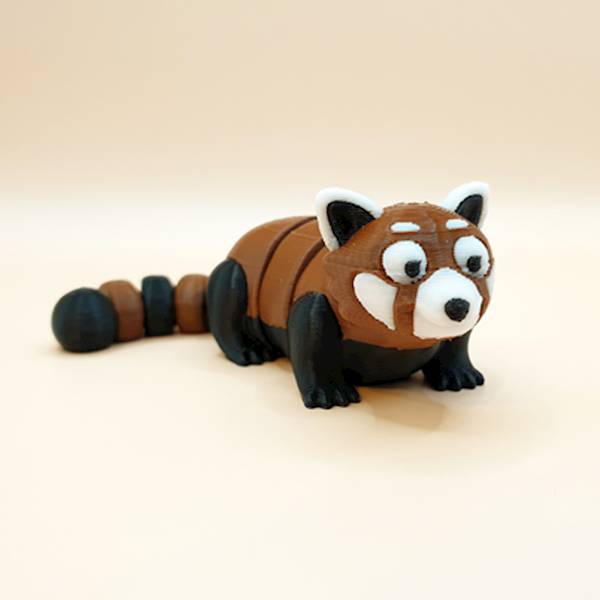 Panda Czerwona