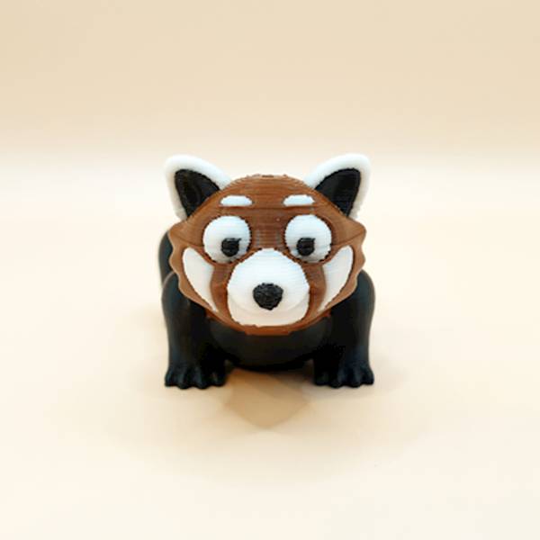 Panda Czerwona