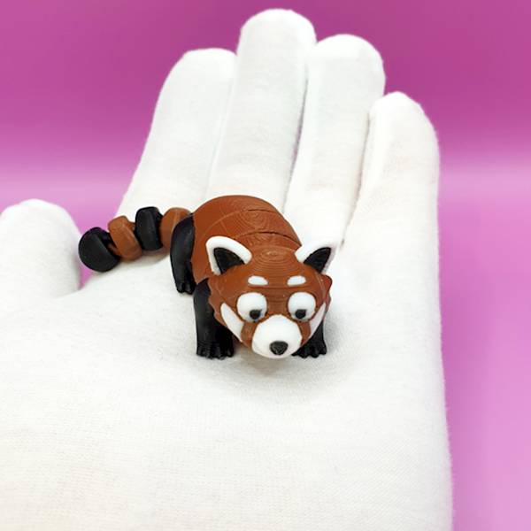 Panda Czerwona