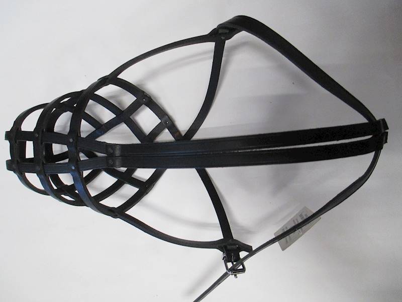 MILAN KAGANIEC SK 1 amstaf 