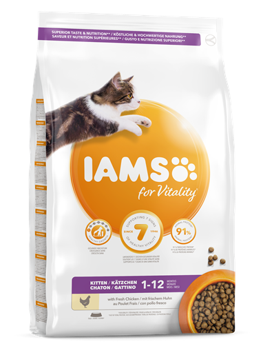 IAMS CAT 10KG KITTEN KURA