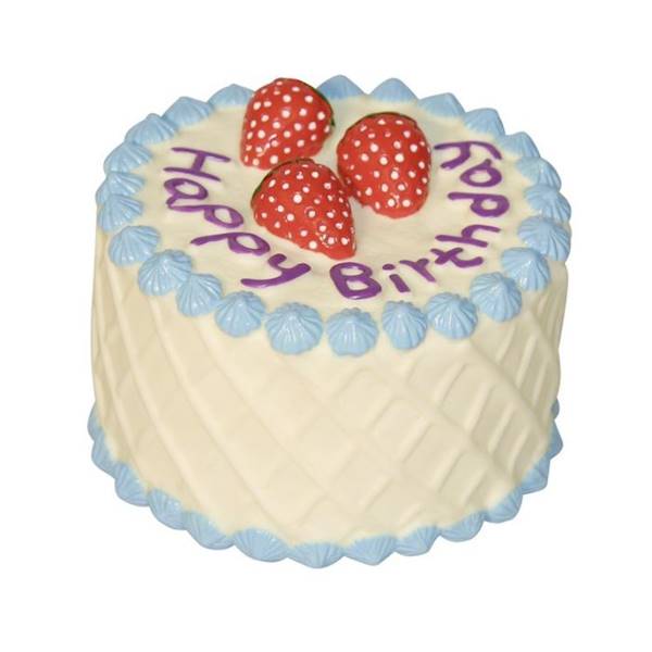 ZB.CAN AGRI WINYLOWA TORT 10 cm 