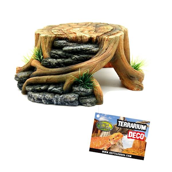 OZDOBA DO TERRARIUM PIEŃ 23x22x9cm AQUA NOVA