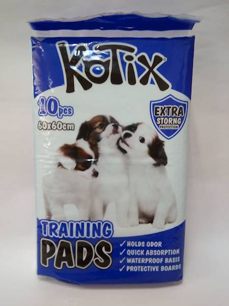 PIELUCHY DLA PSA KOTIX EXTRA STRONG 60x60 (10szt)