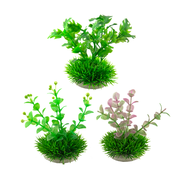 ROŚLINA PLAST.PLANT 10cm NOBLEZA MIX