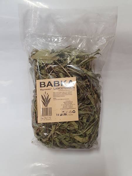 ZIOŁA WĘGROWSKIE - BABKA LANCETOWATA 100g