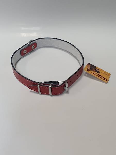 S.OBROŻA SKÓRA GŁADKA 25mm/60cm (65cm)