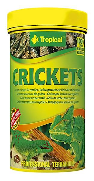 CRICKETS - ŚWIERSZCZE SUSZONE 250ml/25g
